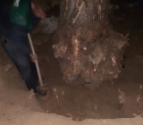 Čišćenje i uređenje zemljišta za dalju gradnju